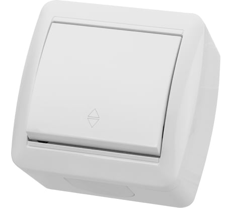 Выключатель на 2 направления накладной одноклавишный, белый IP44 TDM ELECTRIC 10А, серия "Селигер" SQ1818-0011