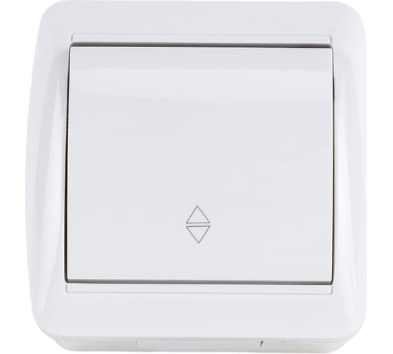 1-клавишный выключатель на 2 направления TDM ELECTRIC открытой установки IP44 10А белый "Селигер" SQ1818-0011