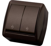 Выключатель на 2 направления двухклавишный накладной IP44 TDM ELECTRIC 10А шоколад, серия "Селигер" SQ1818-0212