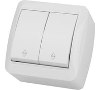 Выключатель на 2 направления двухклавишный накладной, белый IP44 TDM ELECTRIC 10А, серия "Селигер" SQ1818-0012