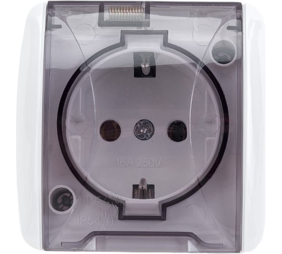 Розетка TDM ELECTRIC 2П+3 открытой установки IP54 16А с прозрачной крышкой белая "Селигер" SQ1818-0007