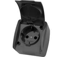 Розетка с крышкой накладная с заземлением TDM ELECTRIC серая 2П IP54 16А серия "Селигер" SQ1818-0113