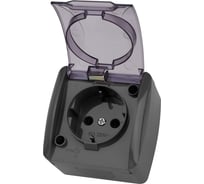 Розетка TDM 2П+3 открытой установки IP54 16А с прозрачной крышкой серая "Селигер" SQ1818-0107