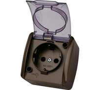 Розетка TDM ELECTRIC 2П+3 открытой установки IP54 16А с прозрачной крышкой шоколад "Селигер" SQ1818-0207