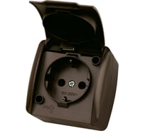 Розетка TDM ELECTRIC 2П+3 открытой установки IP54 16А с крышкой шоколад "Селигер" SQ1818-0213