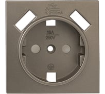 Лицевая панель 1-местной розетки EKF PROxima, Валенсия, с заземлением, 16А, кашемир, с защитными шторками, с 2 USB, 2.1А ESR16-L-028-40-2USB