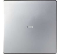Клавиша Simon для выключателя одноклавишного с подсветкой, S82 Detail, алюминий 8200011-093