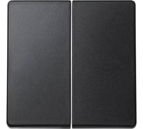 Клавиша Simon 2шт для выключателя двухклавишного, S73 Loft, графит 73026-62