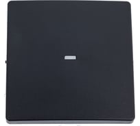 Клавиша Simon для выключателя одноклавишного с подсветкой, S82, S82N, S82 Detail, графит 8200011-038