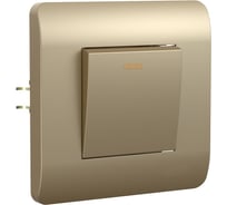 Выключатель 1-клавишный CHINT NEW3-E 10А с подсветкой шампань 431392