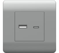 Розетка USB CHINT NEW3-E тип A+C 5В/2.1А серебро  431451