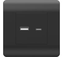 Розетка USB CHINT NEW3-E тип A+C 5В/2.1А черный 431501