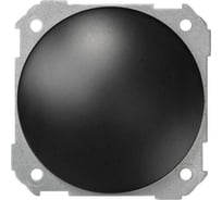 Заглушка Simon, S88, графит 88800-38