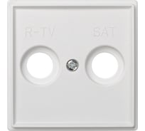 Накладка на телевизионную розетку Simon R-TVSAT, механизм S27, IP44, IK07, Scudo, белый 2705097-030