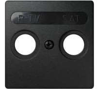 Накладка на телевизионную розетку Simon, R-TV-SAT, S73 Loft, графит 73097-62
