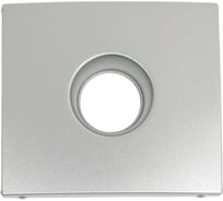 Лицевая панель для розетки TV Legrand Valena алюминий 770256