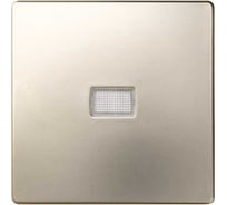 Клавиша для одноклавишного выключателя с подсветкой Simon под пиктограммы, шампань 8200013-034