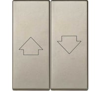 Клавиша на двухклавишный проходной выключатель для управления жалюзи Simon S82C, шампань 82029-54