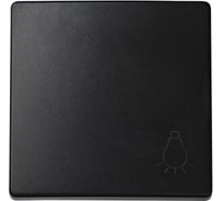 Клавиша для одноклавишного кнопочного выключателя Simon S73 Loft, с пиктограммой лампа, графит 73018-62