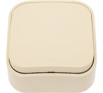 Выключатель Legrand кнопочный одноклавишный Quteo IP20 6А 250В винтовые зажимы накладной монтаж слоновая кость 782235