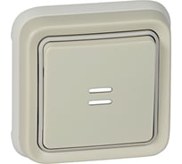 Кнопочный выключатель Legrand с подсветкой НО + НЗ контакты Программа Plexo серый 10 A 069861