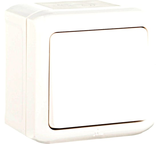 Выключатель Legrand кнопочный одноклавишный Quteo IP44 6А 250В винтовые зажимы накладной монтаж белый 782305