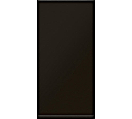 Кнопочный выключатель Legrand Программа Mosaic 1 модуль 6 A матовый черный 079130L 1