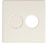 Накладка на аудиорозетку для подключения двух аудиоколонок Simon, слоновая кость 82082-31