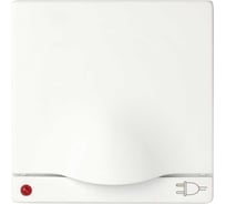 Накладка на двухполюсную розетку Simon, с крышкой, защитными шторками и индикацией, с заземлением, S82,82N, 82 Detail, белый 82099-30