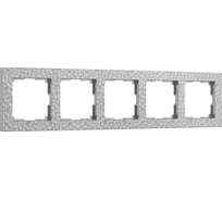 Рамка на 5 постов WERKEL W0052406 a052530