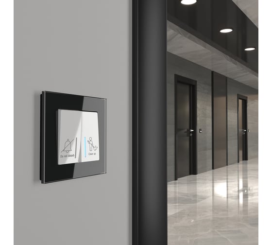 Двухклавишный выключатель WERKEL W1120801 для отелей a054307