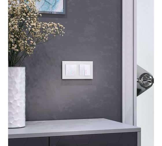 Двухклавишный выключатель WERKEL W1220101 с подсветкой a052034