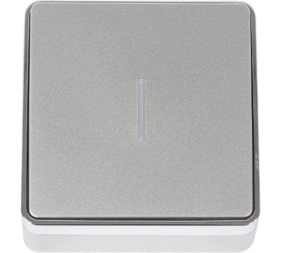 Одноклавишный выключатель WERKEL W5010106 с подсветкой a052766