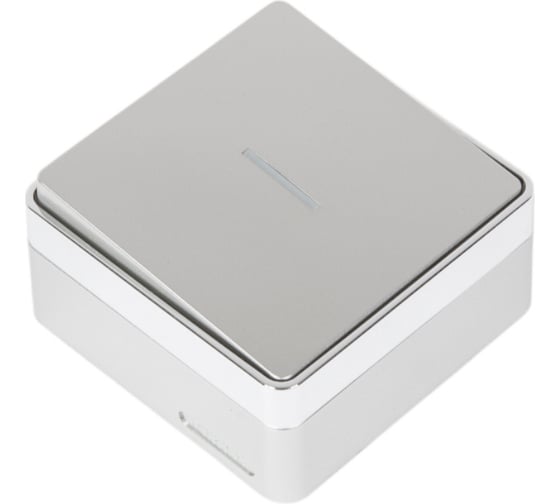 Одноклавишный выключатель WERKEL W5010106 с подсветкой a052766