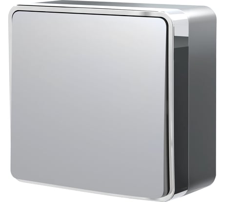 Одноклавишный выключатель WERKEL Gallant серебряный W5010006 a052765