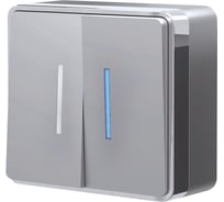 Двухклавишный выключатель с подсветкой WERKEL W5020106 Gallant серебряный a052770