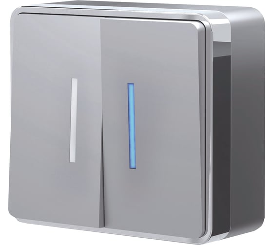 Двухклавишный выключатель с подсветкой WERKEL W5020106 Gallant серебряный a052770