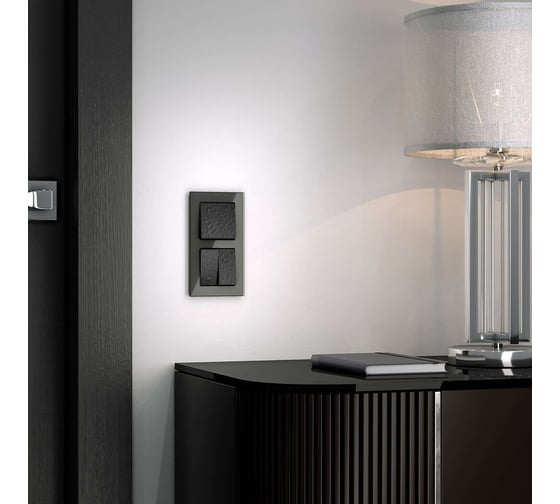 Одноклавишный выключатель WERKEL W1212008 проходной a052055