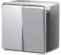 Двухклавишный выключатель WERKEL W5020206 влагозащищенный a052771
