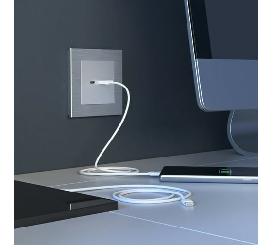 Розетка USB WERKEL W1171806 тип A+С a054347