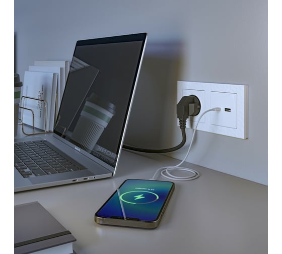 Розетка USB WERKEL W1171801 тип A+С a049279