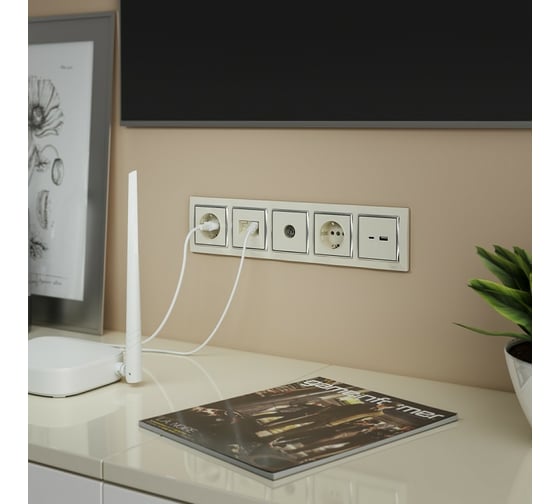 Розетка USB WERKEL W1171803 тип A+С a054345