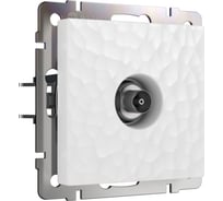 Оконечная ТВ-розетка WERKEL hammer W1283001 a052036