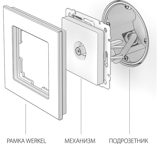 Оконечная ТВ-розетка hammer WERKEL W1283008 черный a052064