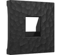 Накладка для RJ-11 WERKEL hammer черный W1292008 a052046