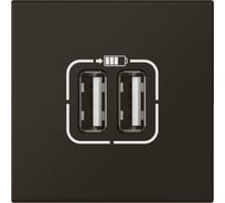 Розетка двойная USB Legrand программа Mosaic А+А, для зарядки, 2 модуля, матовая черная 079194L