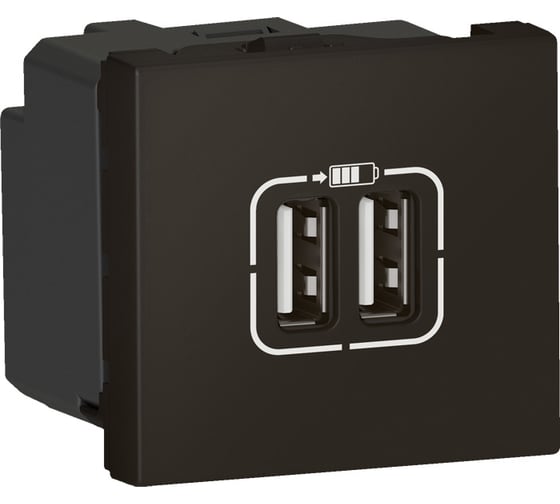 Розетка двойная USB Legrand программа Mosaic А+А, для зарядки, 2 модуля, матовая черная 079194L