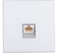 Розетка компьютерная RJ45 Systeme Electric ArtGallery Алюминий, категория 5е, механизм GAL000383