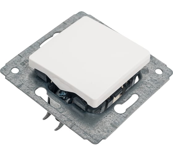 Выключатель Legrand Cariva DIY 10 А, белый 695930