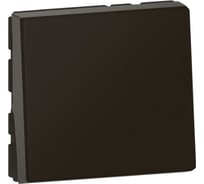 Переключатель на 2 направления Legrand Программа Mosaic 2 модуля 10 AX матовый черный 079111L